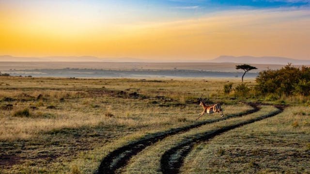 Alles over het Serengeti National Park